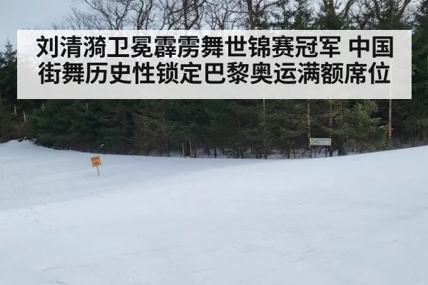 刘清漪卫冕霹雳舞世锦赛冠军 中国街舞历史性锁定巴黎奥运满额席位