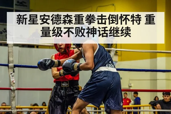新星安德森重拳击倒怀特 重量级不败神话继续
