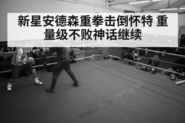 boxer training gym